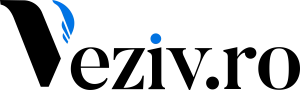 Logo Black - Veziv.ro, dezvolta un Crm, Erp sau o aplicație mobilă